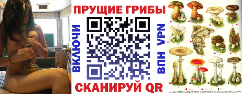 продажа наркотиков Тосно Псилоцибиновые грибы Psilocybine cubensis
