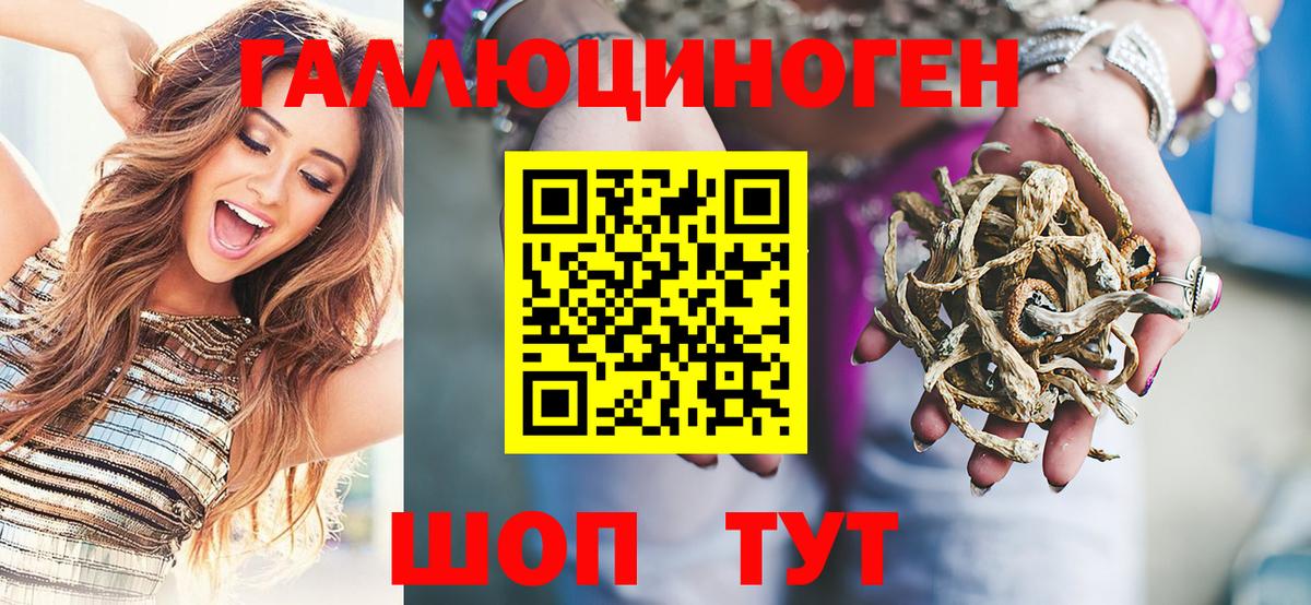 Псилоцибиновые грибы Psilocybe  купить   Вход с VPN  Тосно  Галлюциногенные грибы Magic Shrooms 