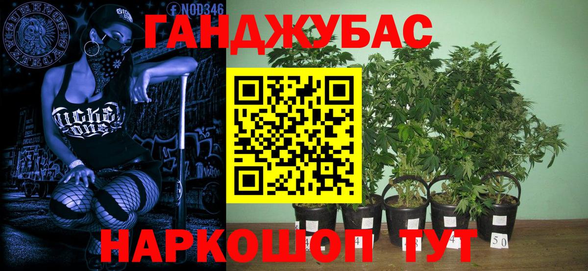 МАРИХУАНА AK-47  Вход с VPN  Тосно  Канабис конопля  Каннабис Amnesia 